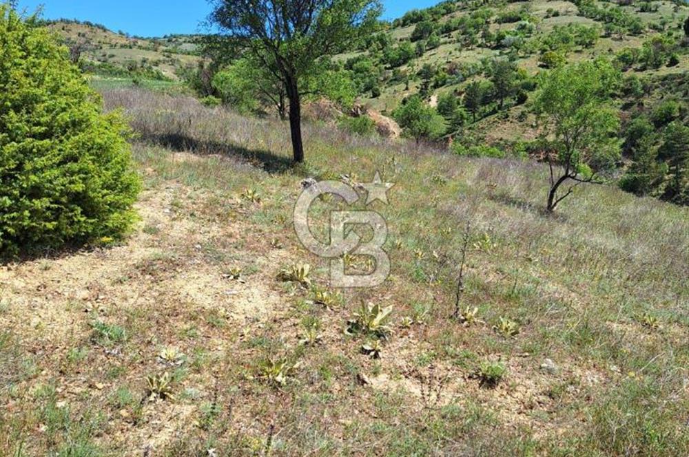 Emet ilçe merkezinde imar dibi yatırımlık arazi