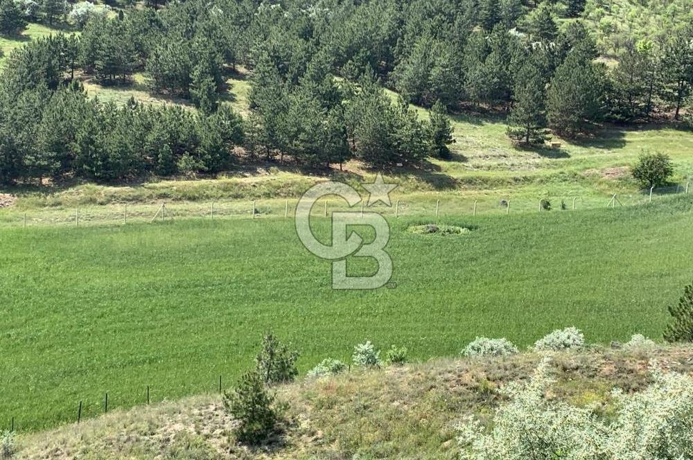 Mamak Kızılca Mahallesi’nde 2.714 m2 Yatırımlık Tarla …