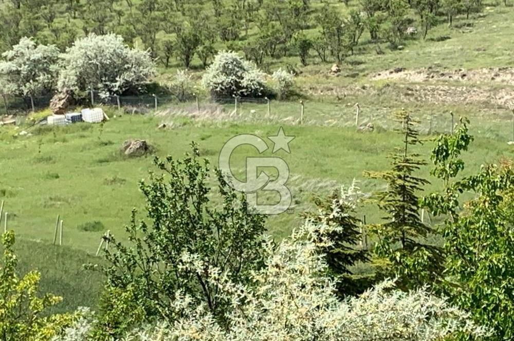 Mamak Kızılca Mahallesi’nde 2.714 m2 Yatırımlık Tarla …
