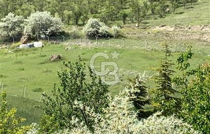 Mamak Kızılca Mahallesi’nde 2.714 m2 Yatırımlık Tarla …