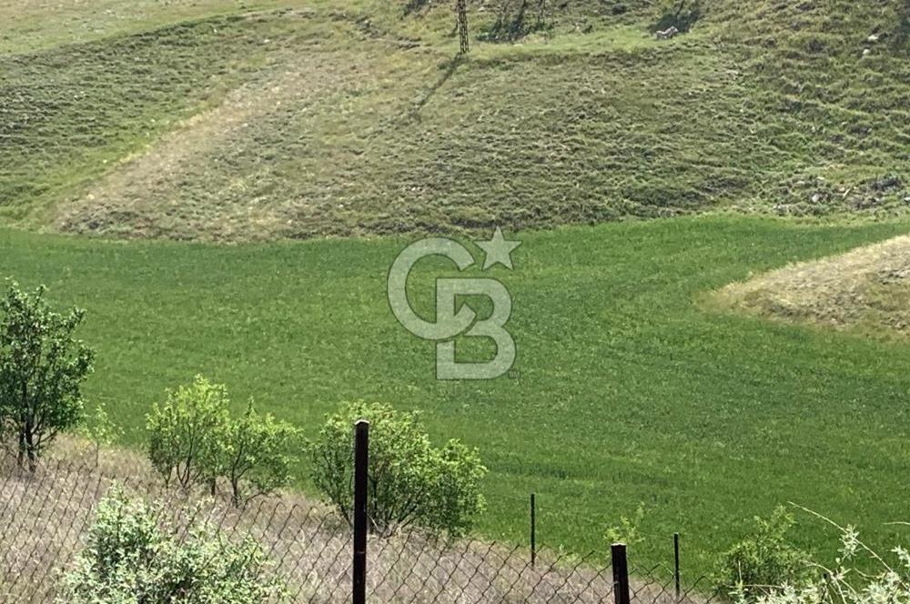 Mamak Kızılca Mahallesi’nde 2.714 m2 Yatırımlık Tarla …