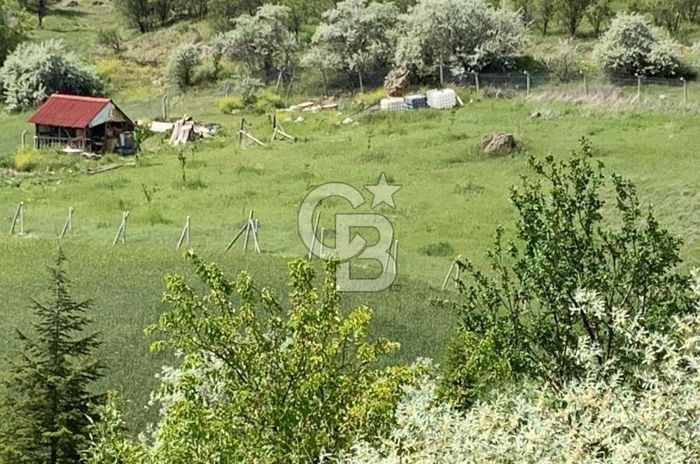 Mamak Kızılca Mahallesi’nde 2.714 m2 Yatırımlık Tarla …
