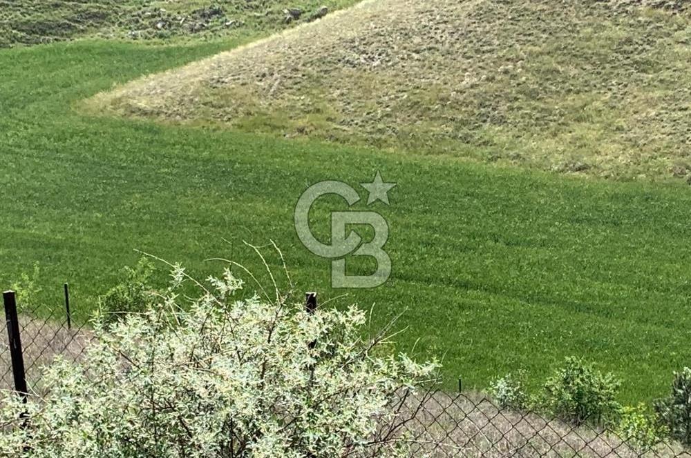 Mamak Kızılca Mahallesi’nde 2.714 m2 Yatırımlık Tarla …