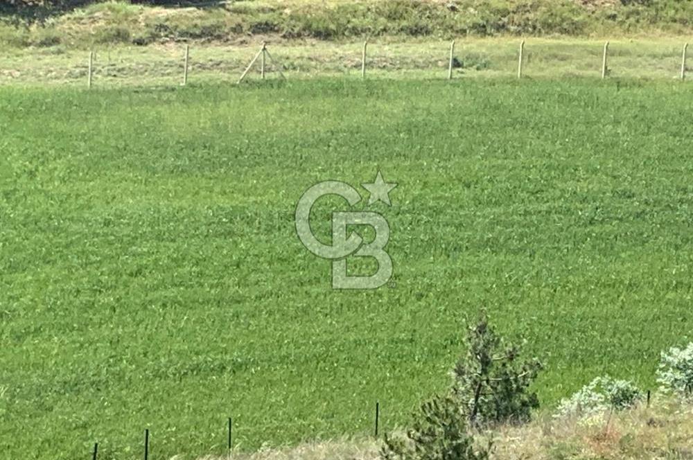 Mamak Kızılca Mahallesi’nde 2.714 m2 Yatırımlık Tarla …