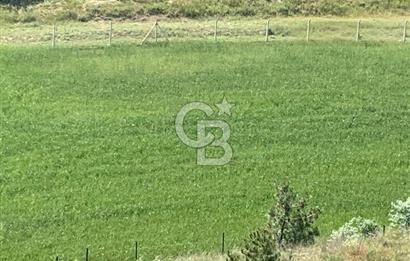 Mamak Kızılca Mahallesi’nde 2.714 m2 Yatırımlık Tarla …