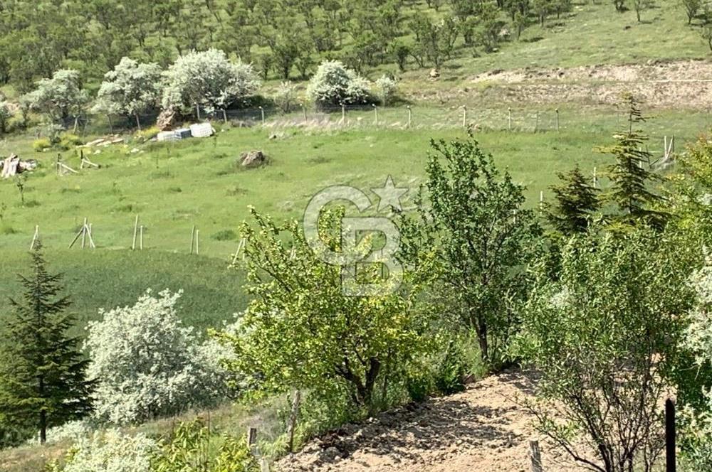 Mamak Kızılca Mahallesi’nde 2.714 m2 Yatırımlık Tarla …
