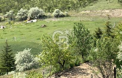 Mamak Kızılca Mahallesi’nde 2.714 m2 Yatırımlık Tarla …