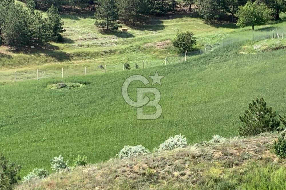 Mamak Kızılca Mahallesi’nde 2.714 m2 Yatırımlık Tarla …