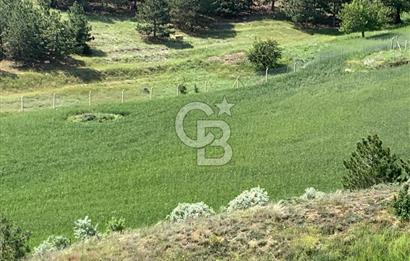 Mamak Kızılca Mahallesi’nde 2.714 m2 Yatırımlık Tarla …