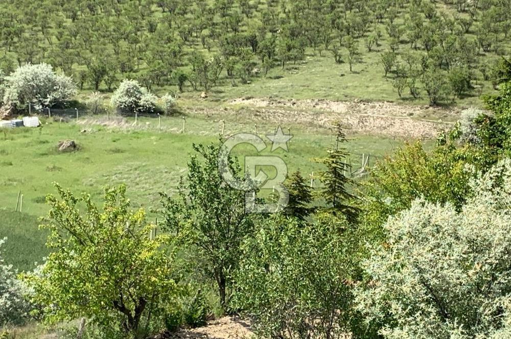 Mamak Kızılca Mahallesi’nde 2.714 m2 Yatırımlık Tarla …