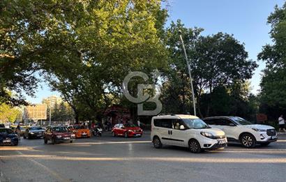 TUNALI HİLMİ CADDESİ KUĞULU İŞ MERKEZİNDE KİRALIK BÜRO&OFİS
