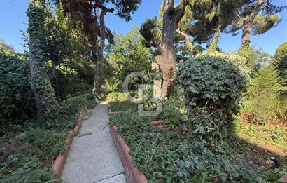 Caddebostan Yalı Parselinde Sessiz ve Yeşil Yaşam 3+1 Bahçe Katı