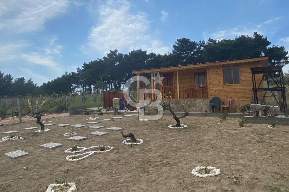 MUSELAND - YAKAKÖY’DE TAPULU BUNGALOVLU ARAZİ