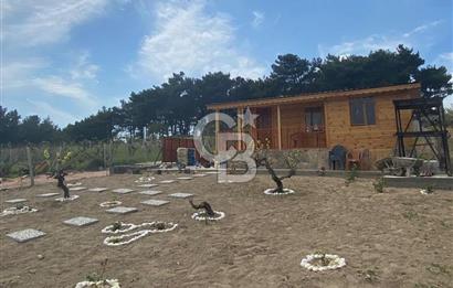 MUSELAND - YAKAKÖY’DE TAPULU BUNGALOVLU ARAZİ