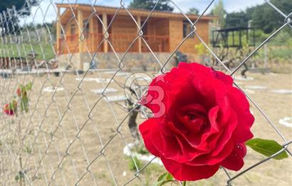 MUSELAND - YAKAKÖY’DE TAPULU BUNGALOVLU ARAZİ