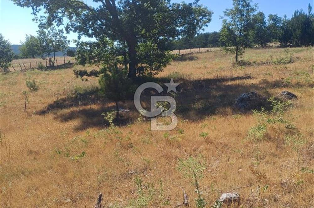 Balıkesir Durusbeyde köydibi düz arazi
