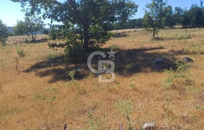 Balıkesir Durusbeyde köydibi düz arazi