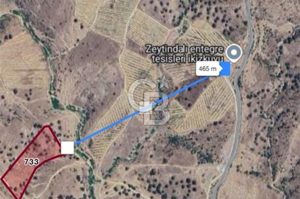 Manisa köprü başı köydibi çiftlik arazisi