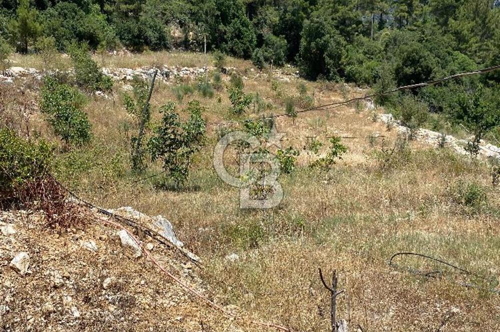 ANTALYA Serik Haskızılörende Bahçe
