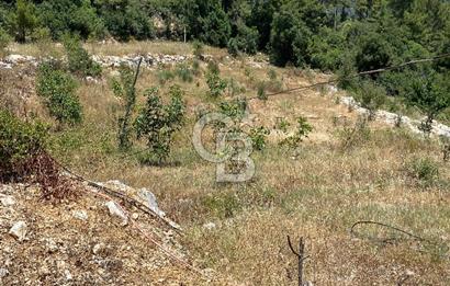ANTALYA Serik Haskızılörende Bahçe