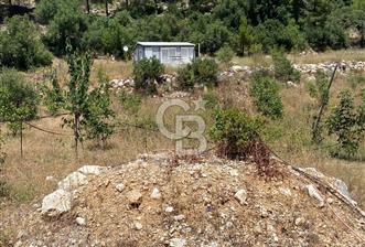 ANTALYA Serik Haskızılörende Bahçe