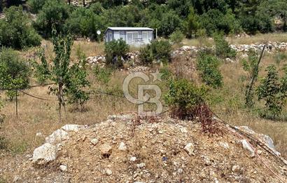 ANTALYA Serik Haskızılörende Bahçe