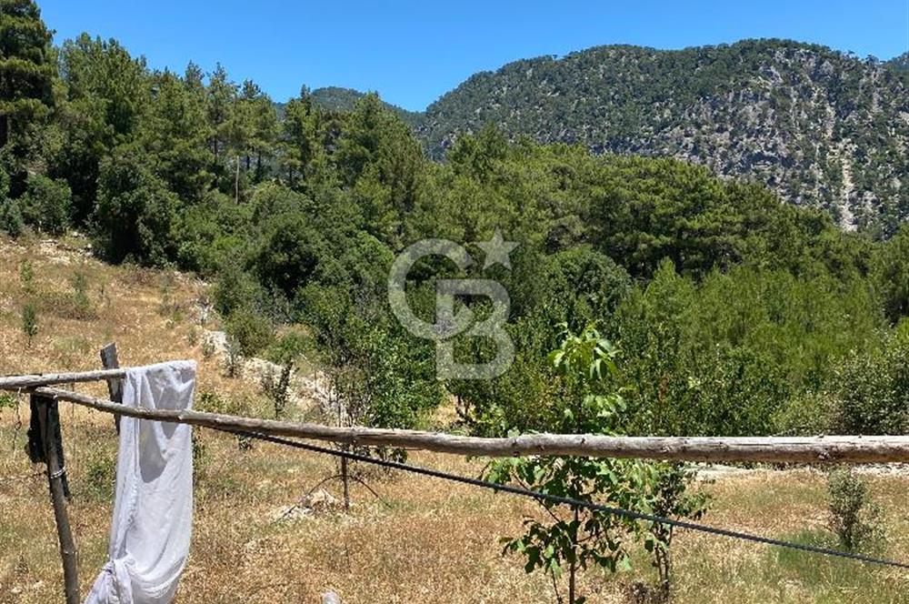 ANTALYA Serik Haskızılörende Bahçe
