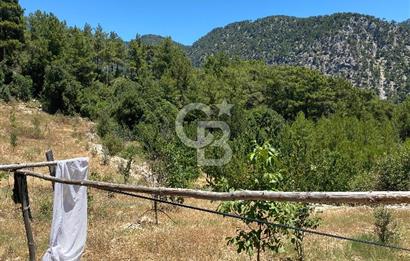 ANTALYA Serik Haskızılörende Bahçe