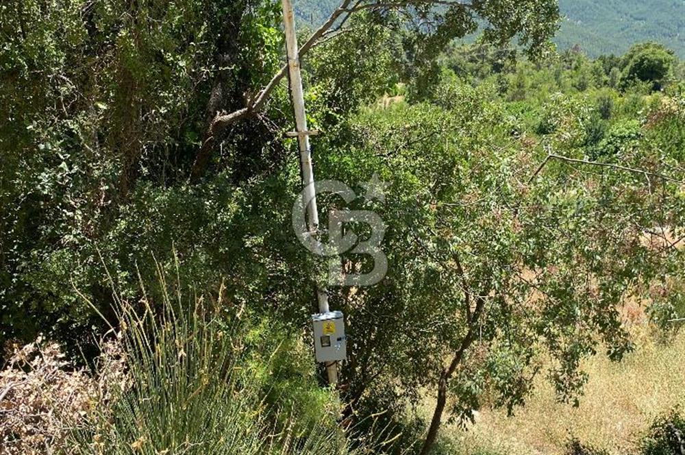 ANTALYA Serik Haskızılörende Bahçe