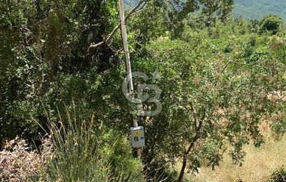 ANTALYA Serik Haskızılörende Bahçe