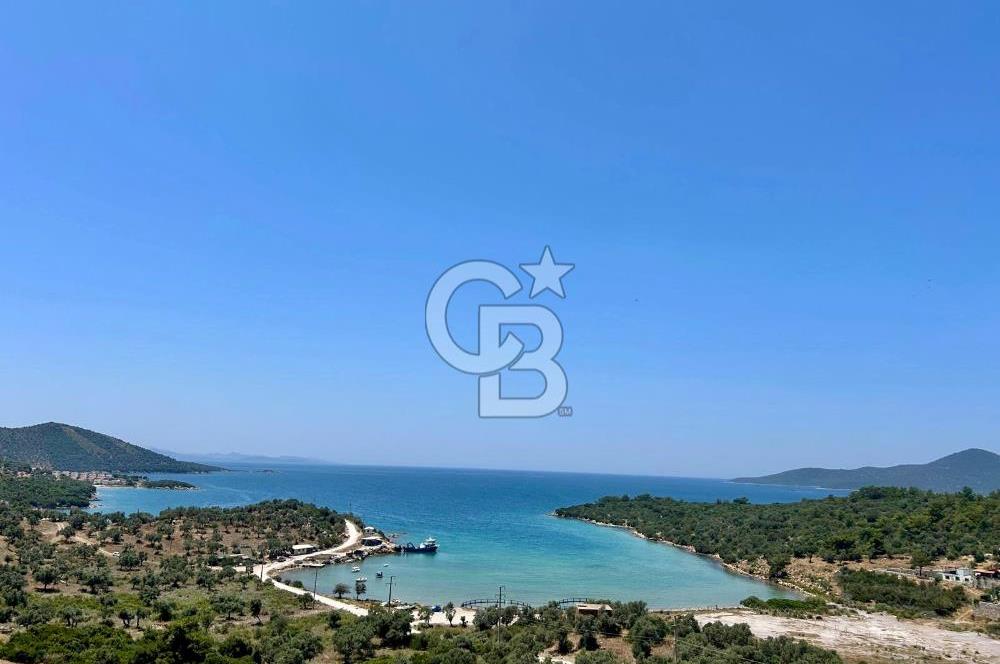 Kıyıkışlacık Zeytinlikuyu Inshore Iassos sit.deniz man.4+1 villa