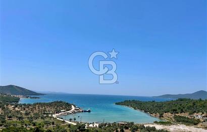 Kıyıkışlacık Zeytinlikuyu Inshore Iassos sit.deniz man.4+1 villa