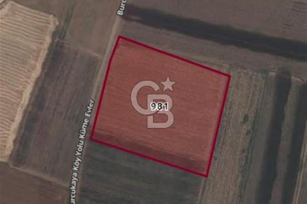Bitlis Ahlat Ova Kışla'da  Köye Yakın 19.500m2 Yatırımlık Tarla 