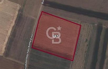 Bitlis Ahlat Ova Kışla'da  Köye Yakın 19.500m2 Yatırımlık Tarla 
