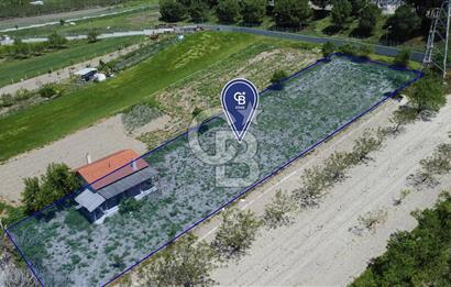 CB KiNG'DEN KÖYLÜKÖYÜ MAH.'DE SATILIK 1.862 M2 HOBİ BAHÇESİ