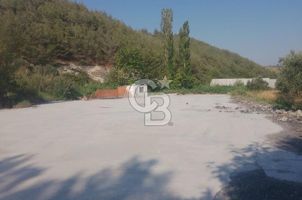 İzmir Kınık Arapseki'de Acil Satılık Zeytinlik + Bahçe(iki Parsel) 