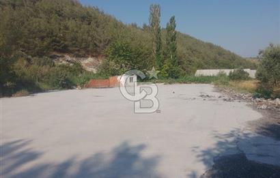 İzmir Kınık Arapseki'de Acil Satılık Zeytinlik + Bahçe(iki Parsel) 