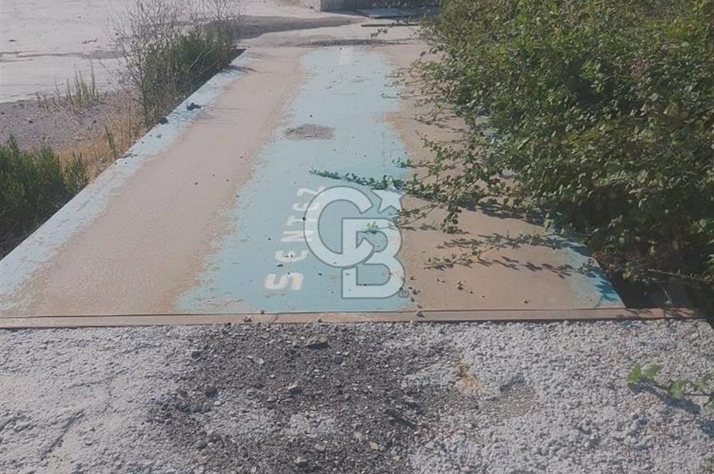 İzmir Kınık Arapseki'de Acil Satılık Zeytinlik + Bahçe(iki Parsel) 