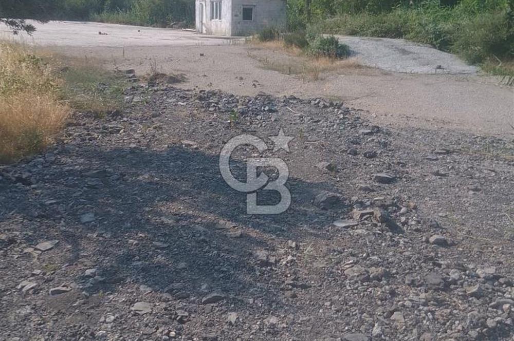 İzmir Kınık Arapseki'de Acil Satılık Zeytinlik + Bahçe(iki Parsel) 