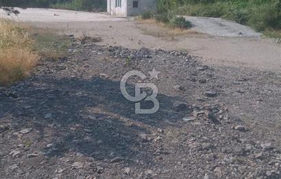 İzmir Kınık Arapseki'de Acil Satılık Zeytinlik + Bahçe(iki Parsel) 