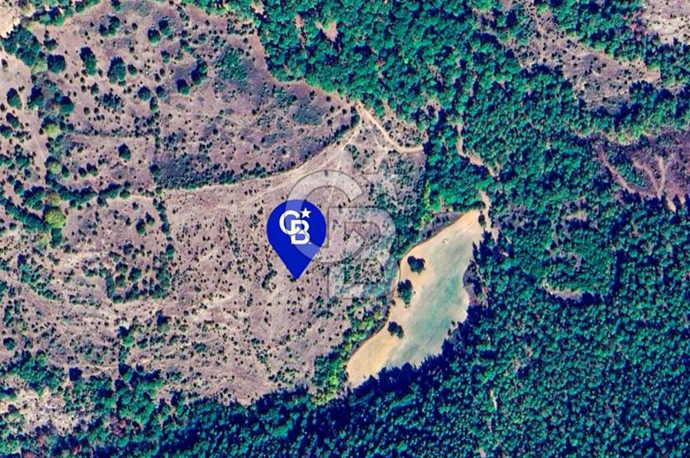 Çanakkale Bayramiç'te yatırımlık satılık tarla