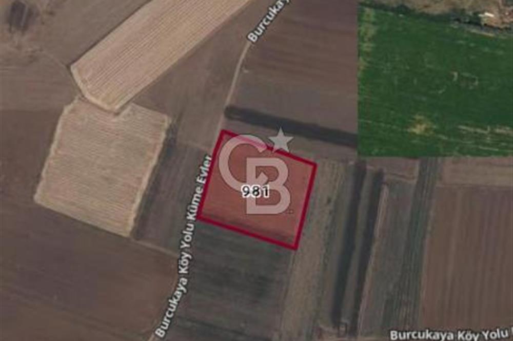 Bitlis Ahlat Ova Kışla'da  Köye Yakın 19.500m2 Yatırımlık Tarla 