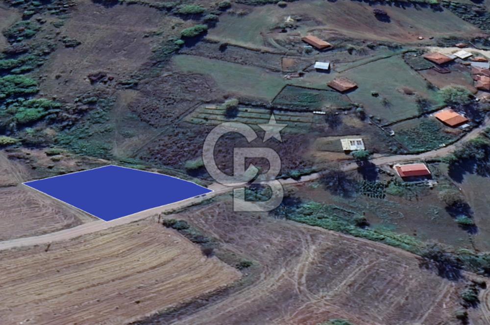 İZMİT BÖĞÜRGEN SATILIK RESMİ YOL CEPHELİ 1903 m2 KÖŞE ARAZİ