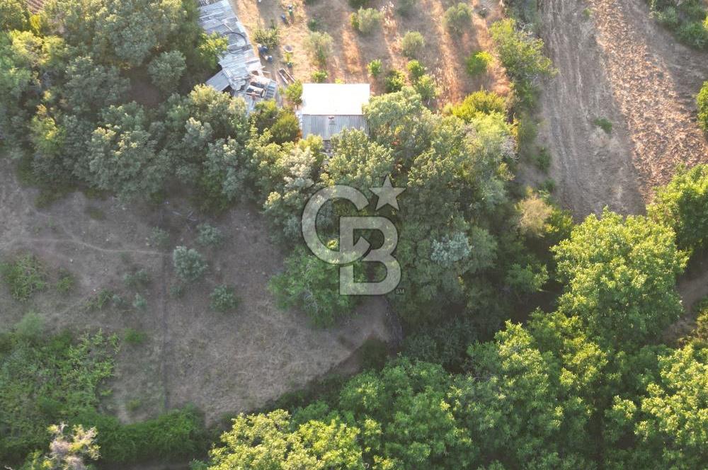 ÇANAKKALE MERKEZ KÖY SALİHLER 560 M² KÖYE YAKIN SATILIK ARAZİ