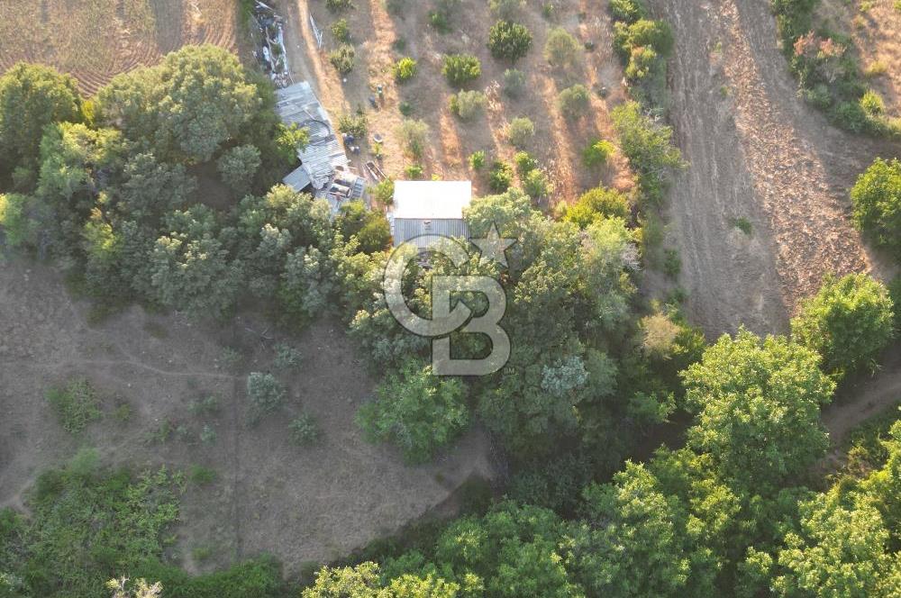 ÇANAKKALE MERKEZ KÖY SALİHLER 560 M² KÖYE YAKIN SATILIK ARAZİ