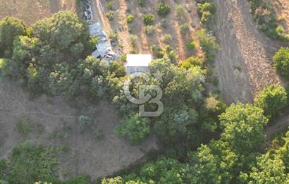 ÇANAKKALE MERKEZ KÖY SALİHLER 560 M² KÖYE YAKIN SATILIK ARAZİ