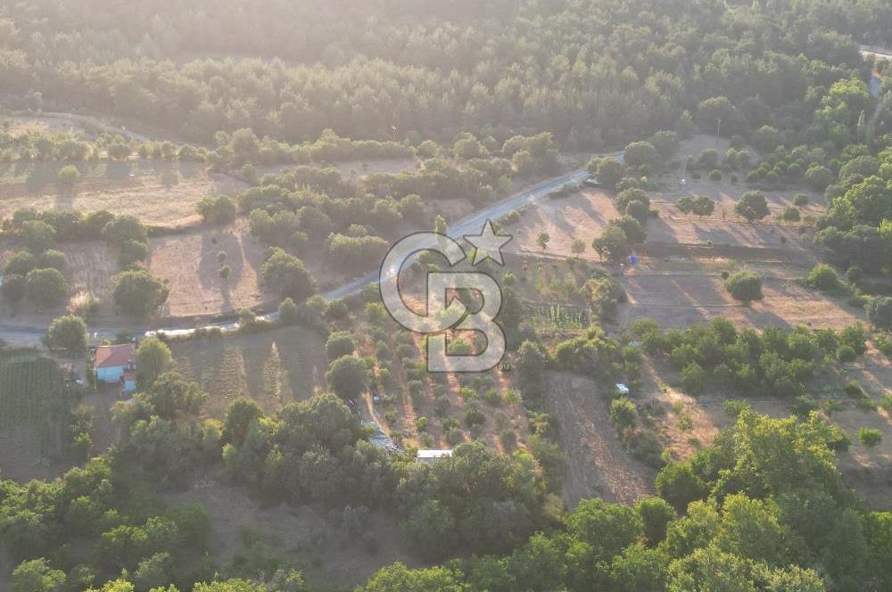 ÇANAKKALE MERKEZ KÖY SALİHLER 560 M² KÖYE YAKIN SATILIK ARAZİ