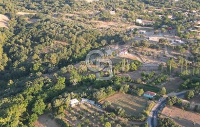 ÇANAKKALE MERKEZ KÖY SALİHLER 560 M² KÖYE YAKIN SATILIK ARAZİ