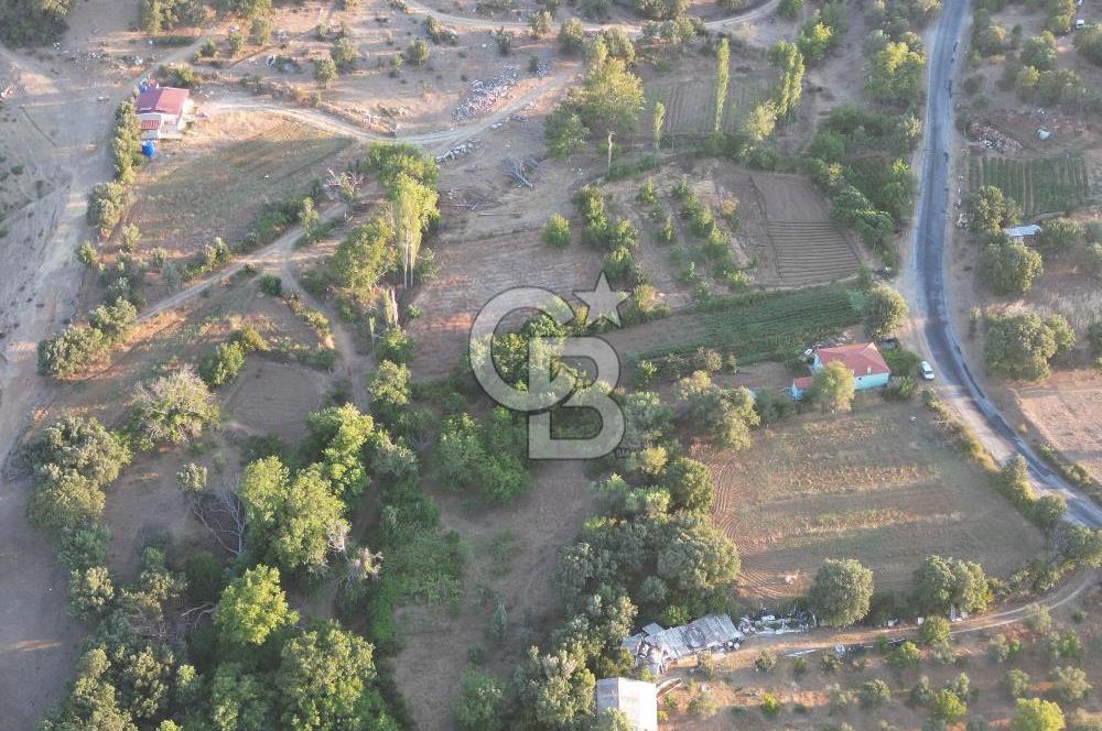 ÇANAKKALE MERKEZ KÖY SALİHLER 560 M² KÖYE YAKIN SATILIK ARAZİ