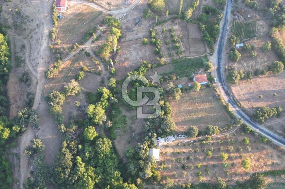 ÇANAKKALE MERKEZ KÖY SALİHLER 560 M² KÖYE YAKIN SATILIK ARAZİ